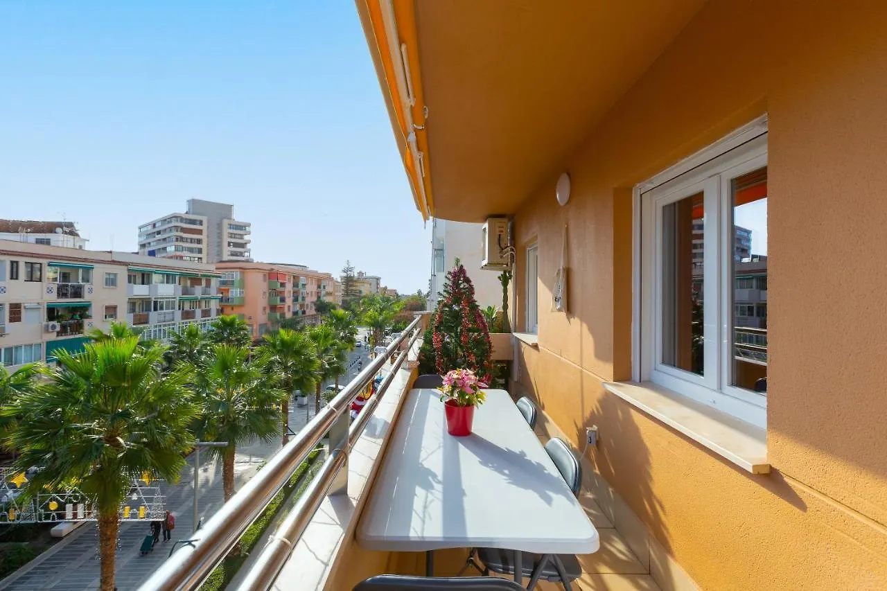Palma De Mallorca 12 托雷莫利诺斯
