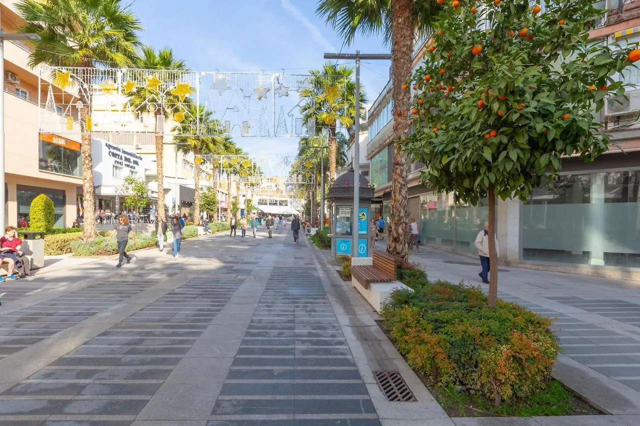 Palma De Mallorca 12 托雷莫利诺斯 0*,  西班牙